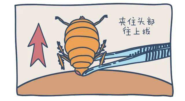 圖片09.png 圖片09.png