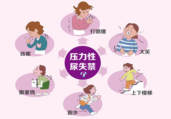 圖片12 圖片12.png
